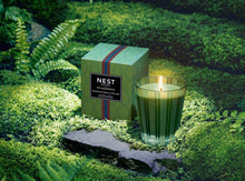 Load image into Gallery viewer, Nest New York Midnight Moss &amp; Vetiver Classic Candle

